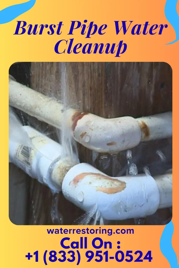 Burst Pipe Water Cleanup in Burnside, PA