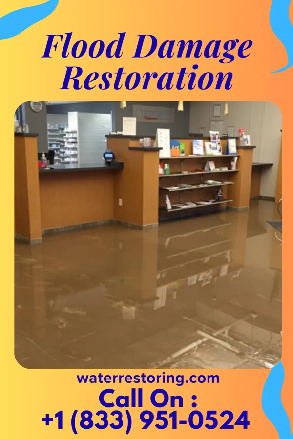 Flood Damage Restoration in Burnside, PA