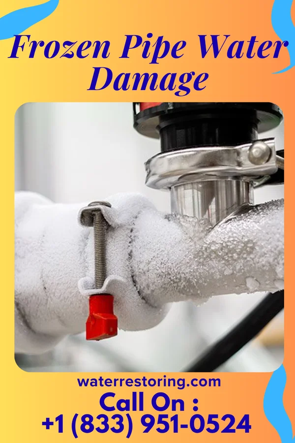 Frozen Pipe Water Damage in Burnside, PA