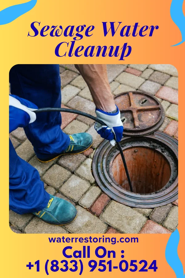 Sewage Water Cleanup in Burnside, PA