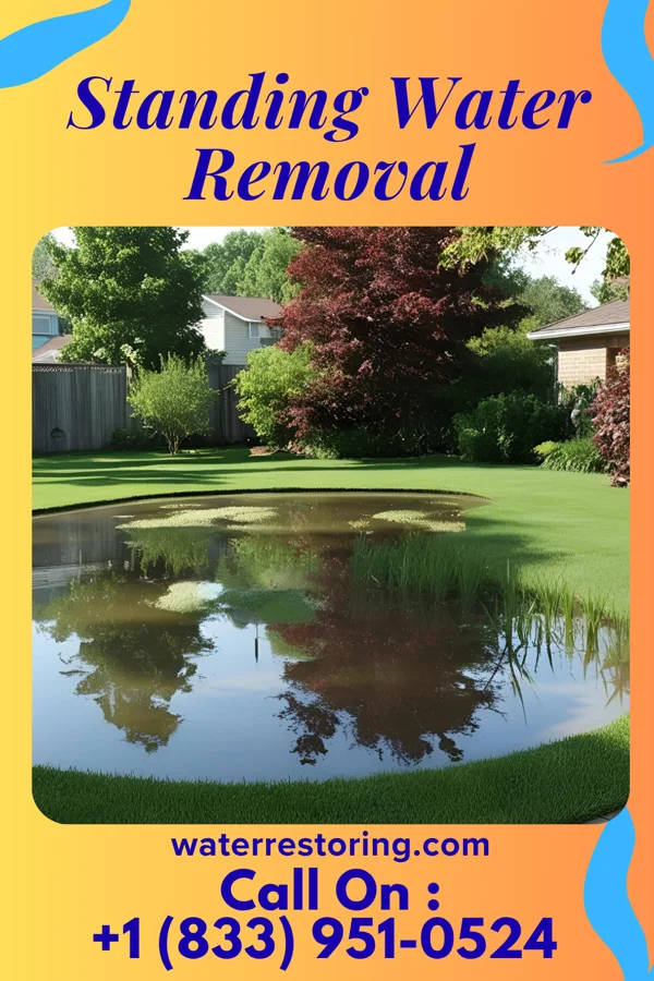 Standing Water Removal in Burnside, PA
